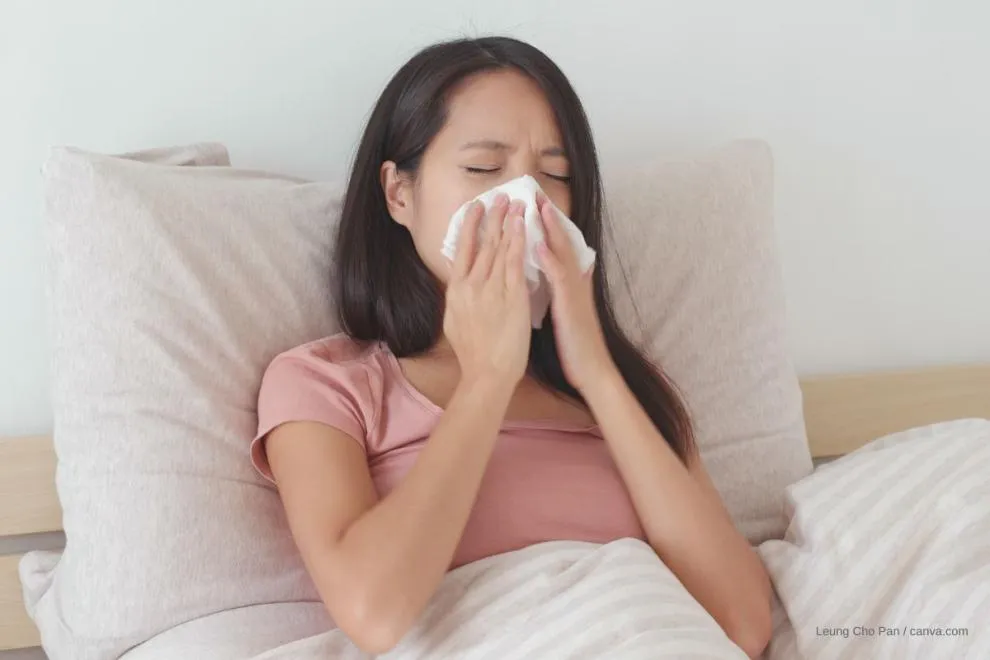 oreiller anti-allergies